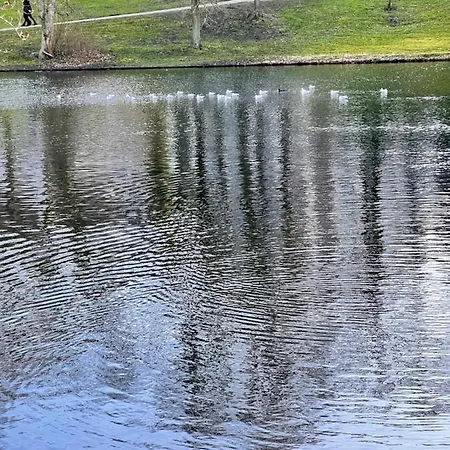 Mi Casa 3 Geschmackvoll Zentral In Bremen