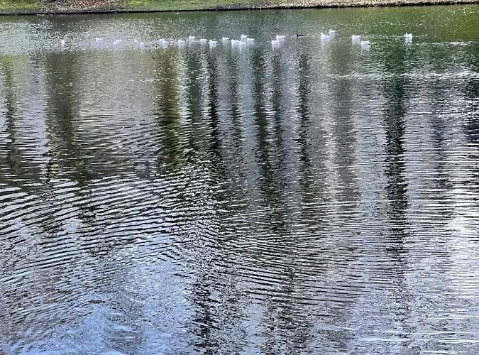 Mi Casa 3 Geschmackvoll Zentral In 不莱梅